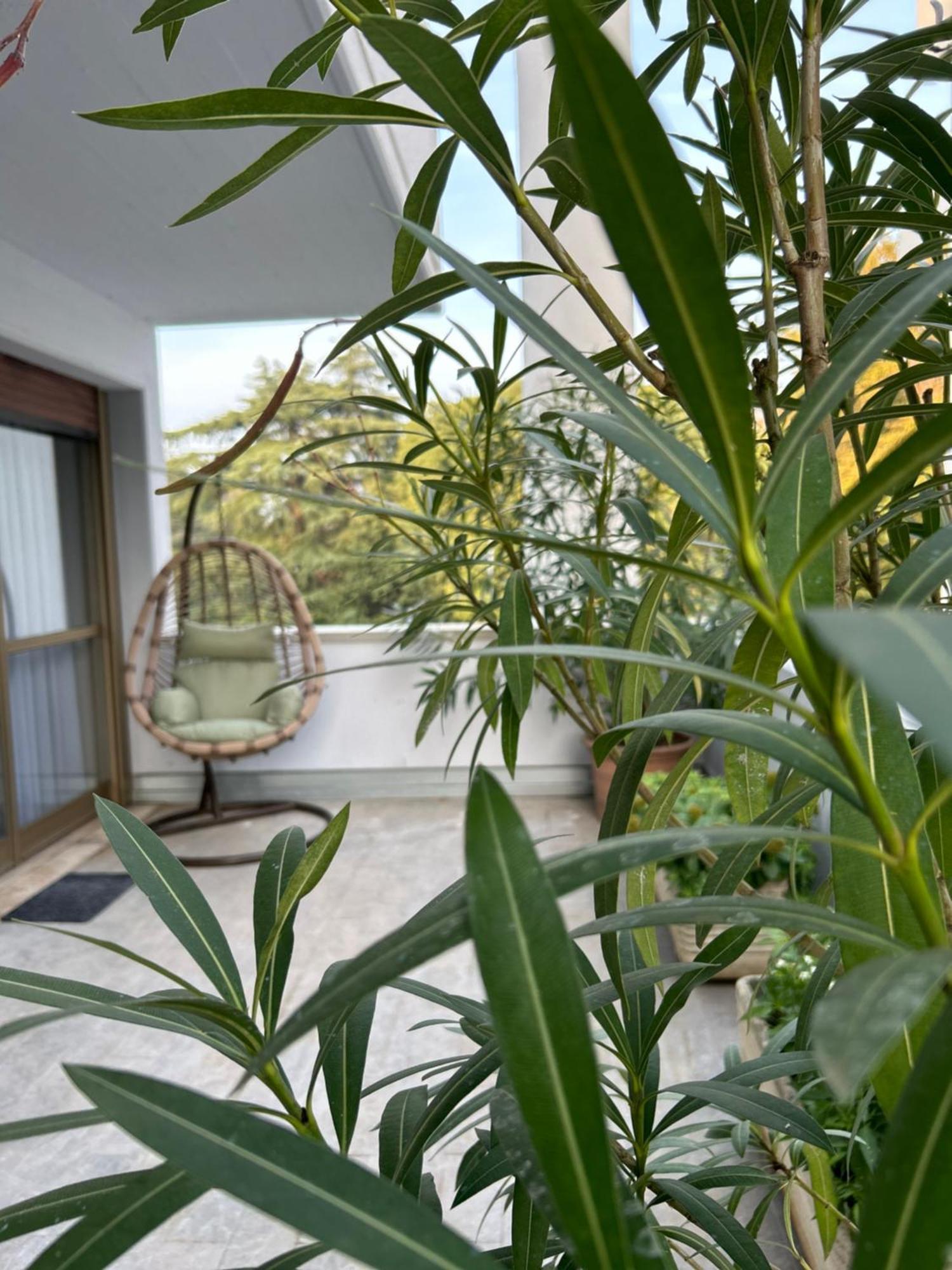 Room& Breakfast Martin'S Luxury Bolonha Exterior foto